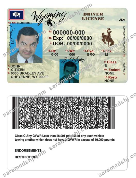 USA Wyoming state driving license